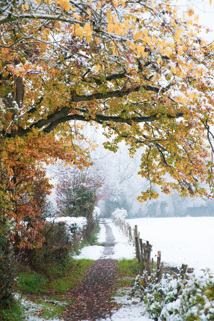 Zwischen Herbstlaub und Winterstimmung