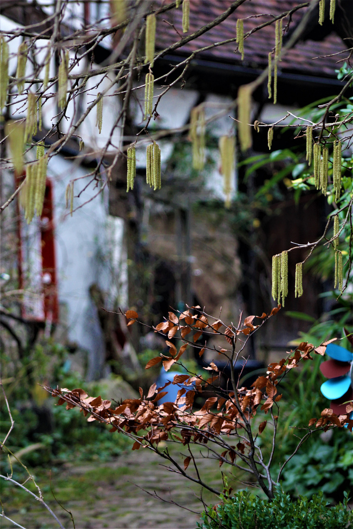 Zwischen Herbst....Winter und Frühling