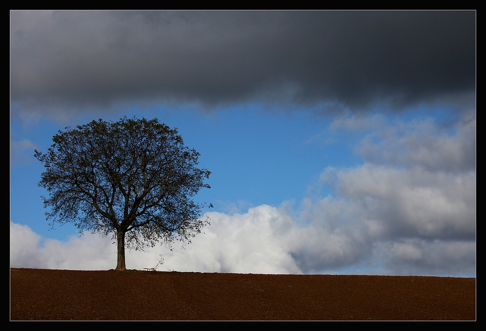 Zwischen Himmel und Erde