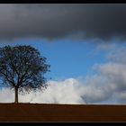 Zwischen Himmel und Erde