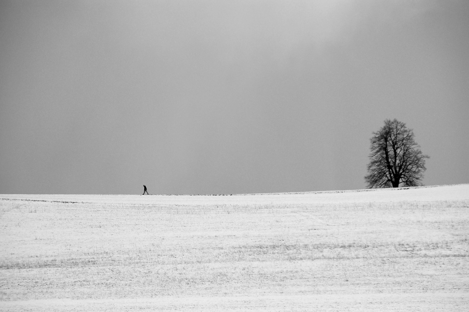 Zwischen Himmel und Erde