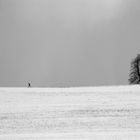 Zwischen Himmel und Erde