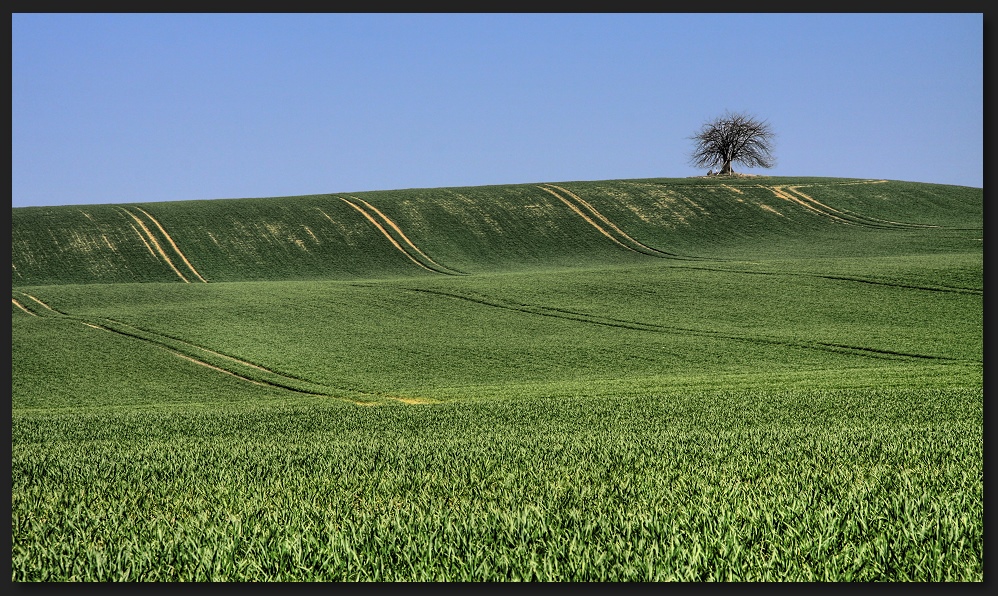 Zwischen Himmel und Erde