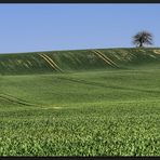 Zwischen Himmel und Erde