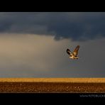 Zwischen Himmel und Erde