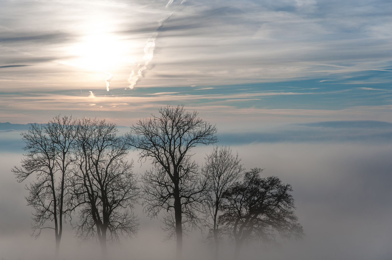 [ Zwischen Himmel und Erde ]