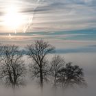 [ Zwischen Himmel und Erde ]