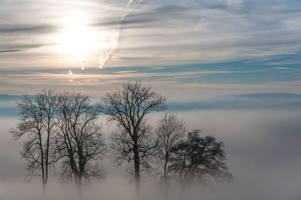 [ Zwischen Himmel und Erde ]