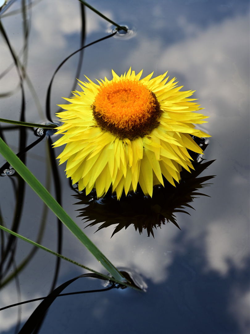 Zwischen Himmel und Erde