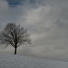 Zwischen Himmel und Erde