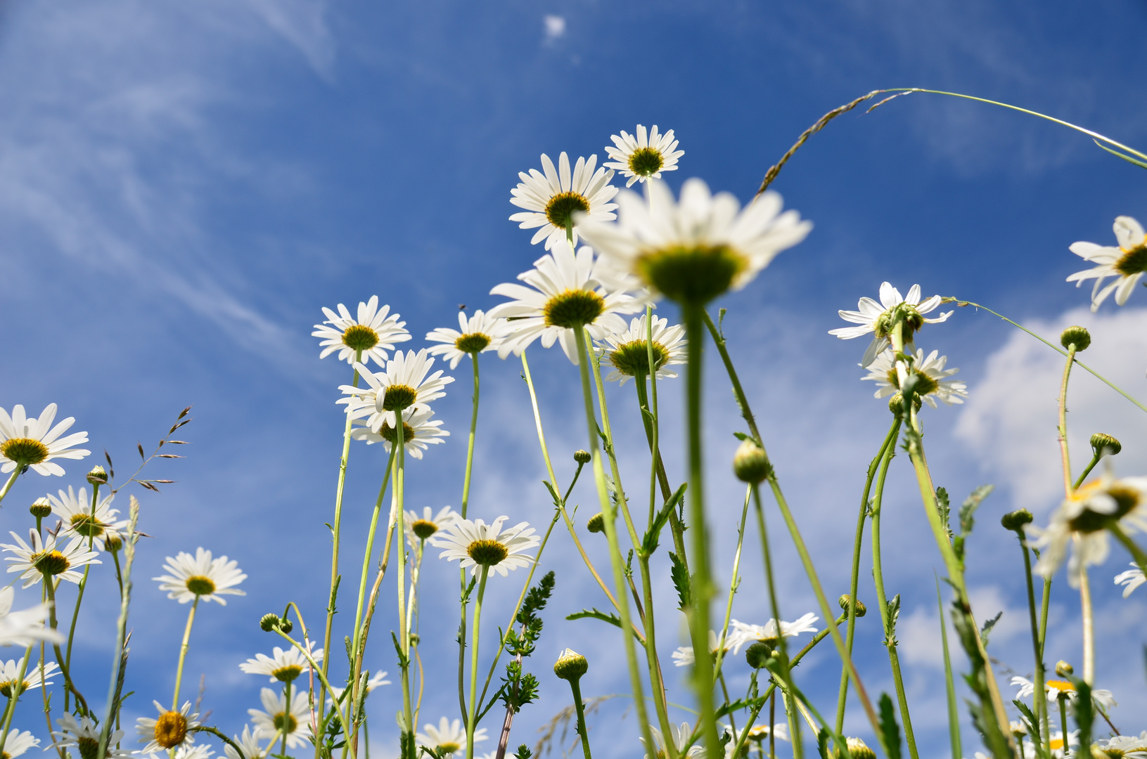 Zwischen Himmel und Erde....