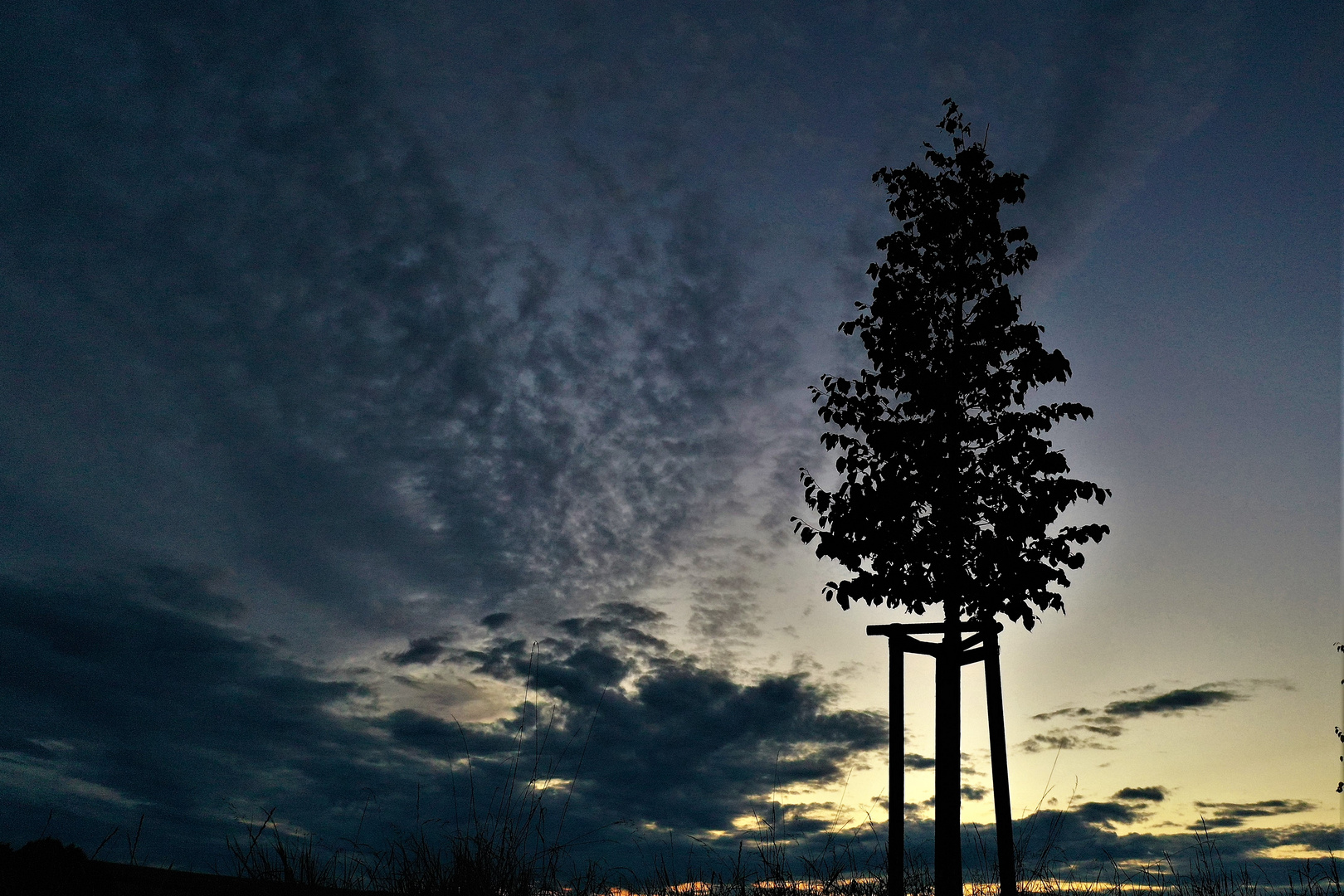 Zwischen Himmel und Erde