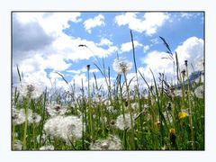 Zwischen Himmel und Erde