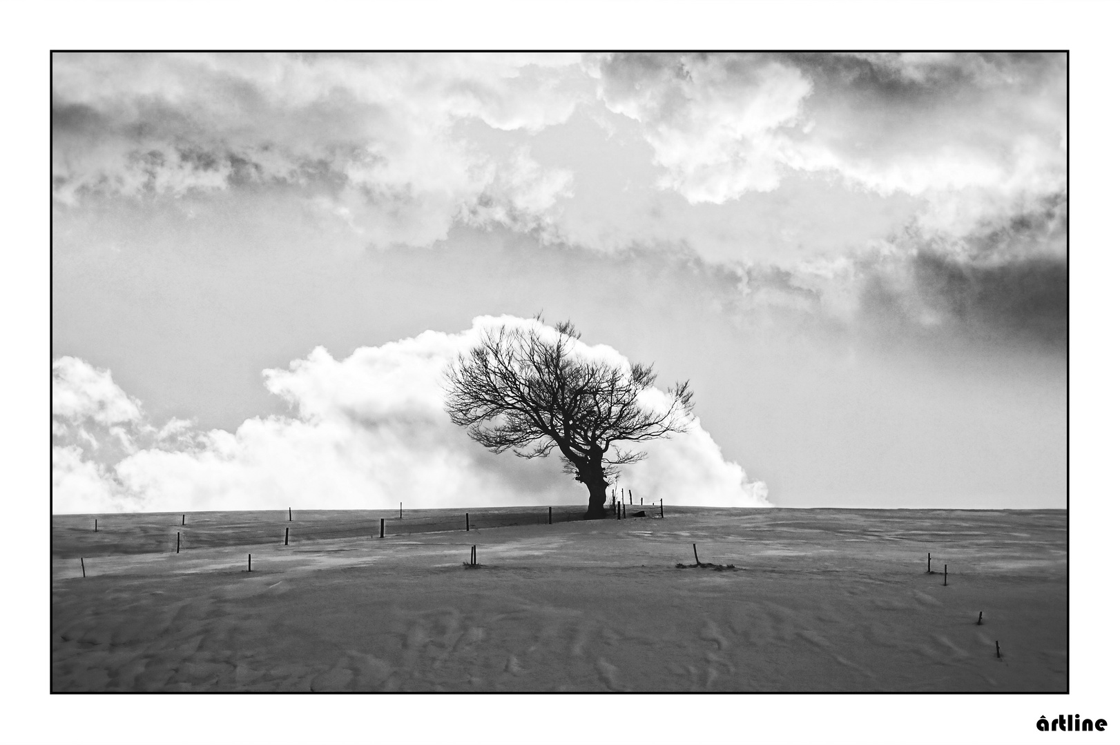 zwischen Himmel und Erde - between heaven and earth