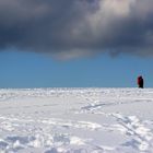 Zwischen Himmel und Erde