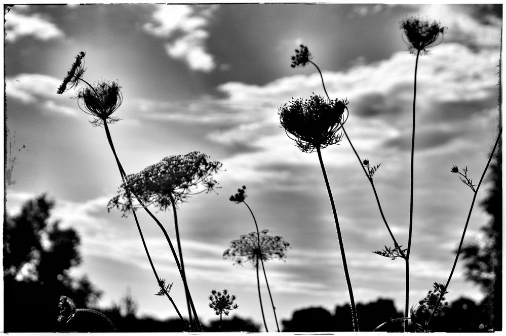 . Zwischen Himmel und Erde .