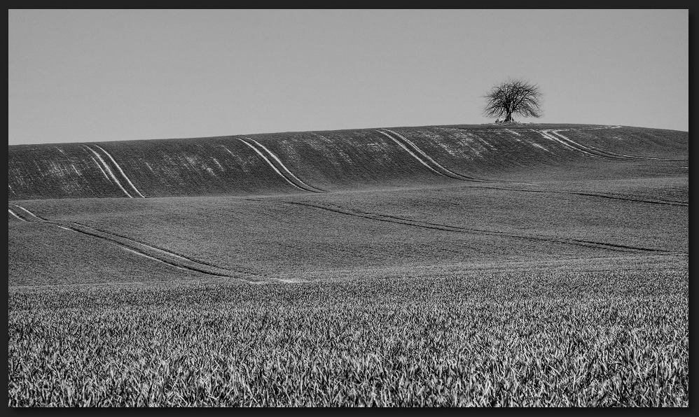 Zwischen Himmel und Erde II