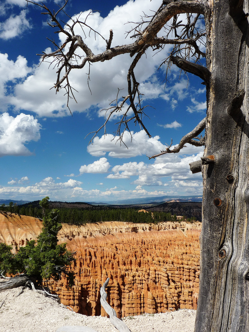 Zwischen Himmel und Hölle? Bryce Canyon National Park