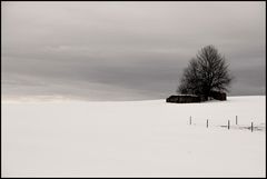 zwischen Himmel und Schnee