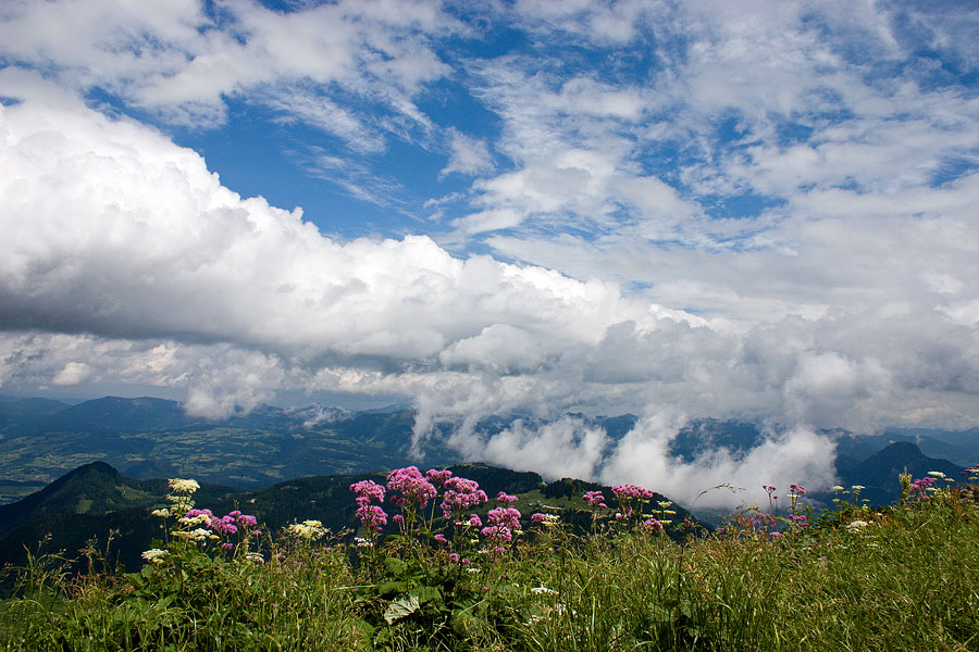 zwischen Himmel und Wolken