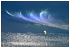 Zwischen Himmel und Wolken