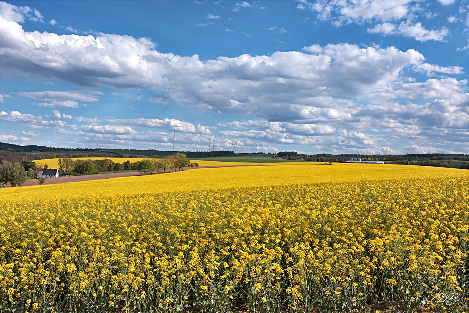 Zwischen Himmelblau und Wolkenweiß ....