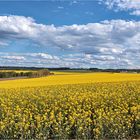 Zwischen Himmelblau und Wolkenweiß ....