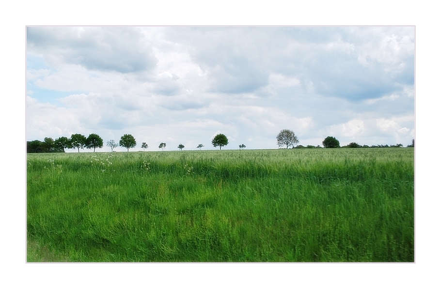 zwischen Himmel&Erde