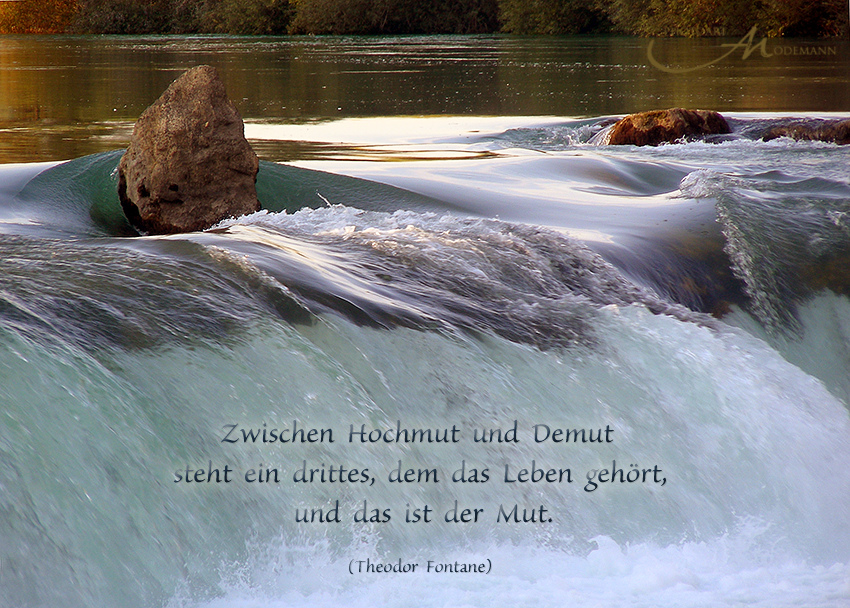 ~ Zwischen Hochmut & Demut ~