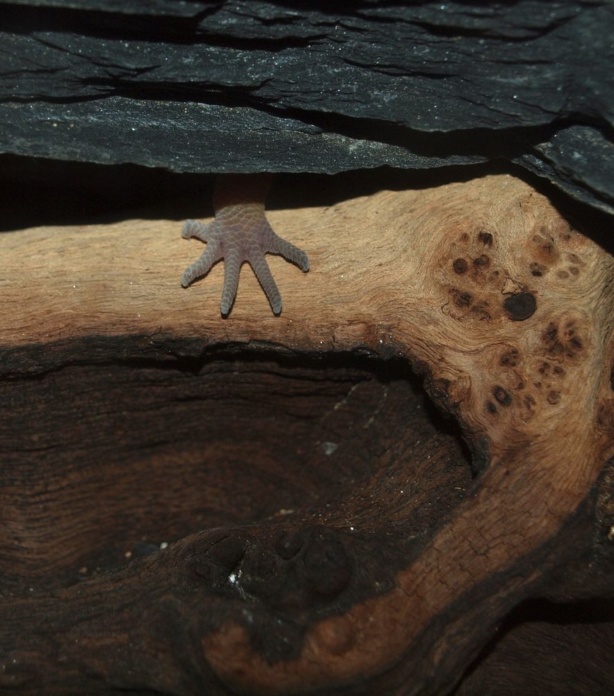 Zwischen Holz und Stein