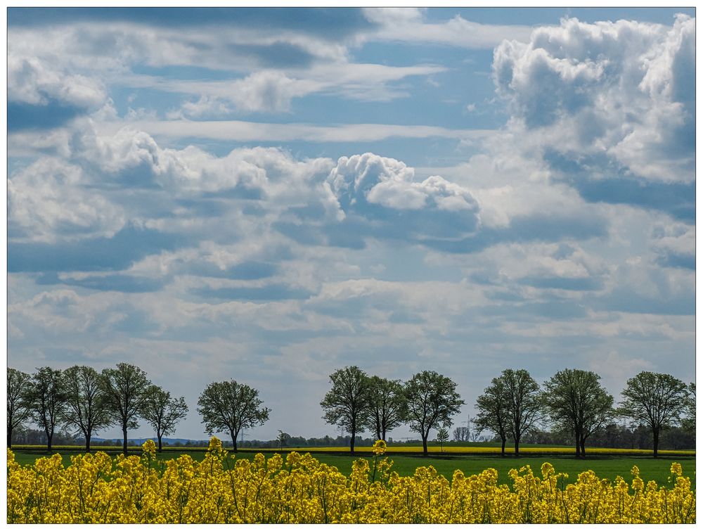 Zwischen Horizont und Raps