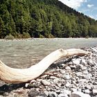 Zwischen Karwendel und Karfreitag, da wo da Radlweg nach Hintergscherd-Indien abbiagt (6)