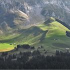 zwischen Kronberg und Säntis