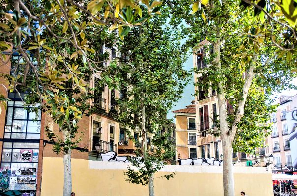 Zwischen Kunst und Wirklichkeit