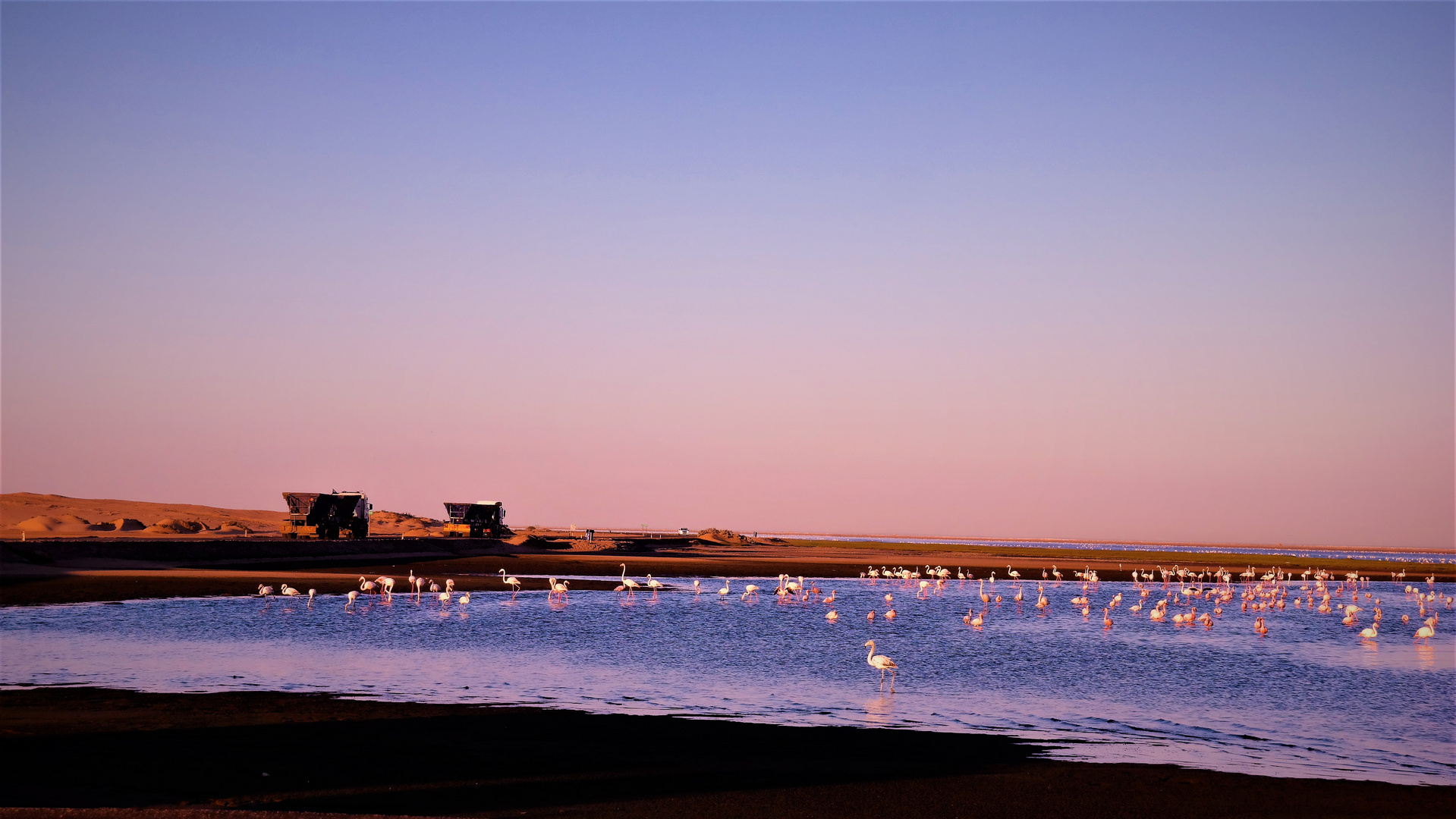 Zwischen Lagune und Wueste,Flamingos und Sand.......