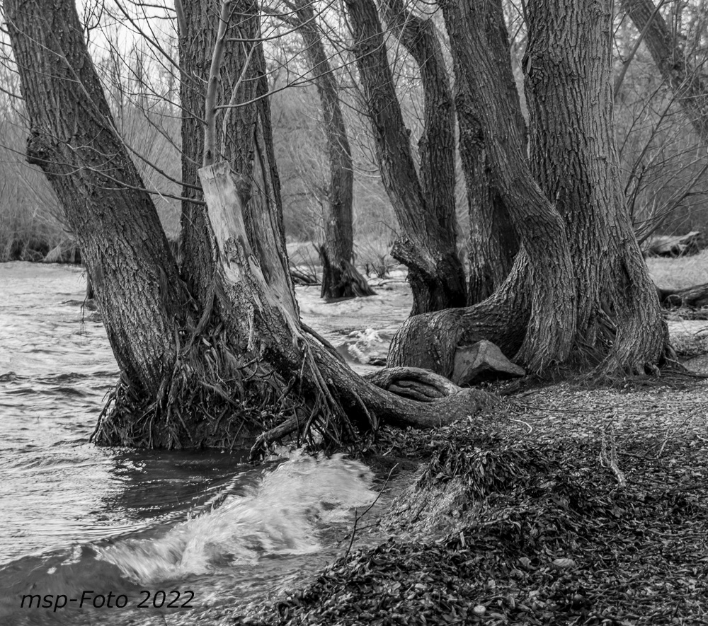 Zwischen Land und Wasser