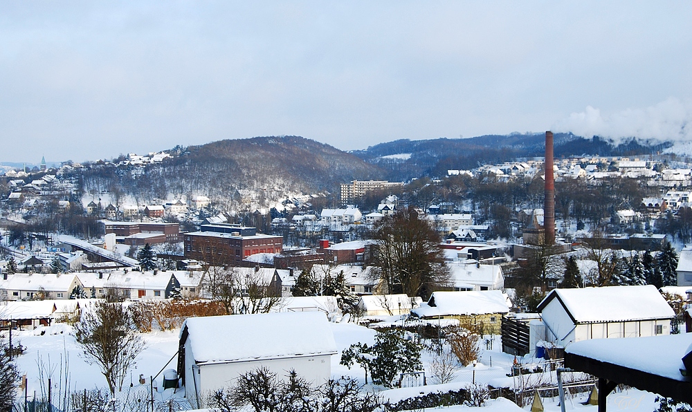 Zwischen Langerfeld und Schmitteborn