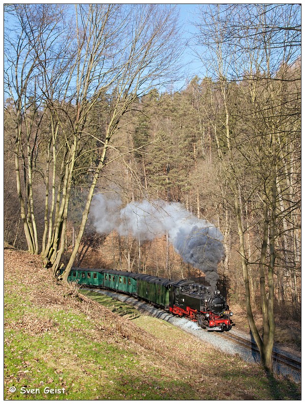 Zwischen laublosen Bäumen im Tal der Roten Weißeritz