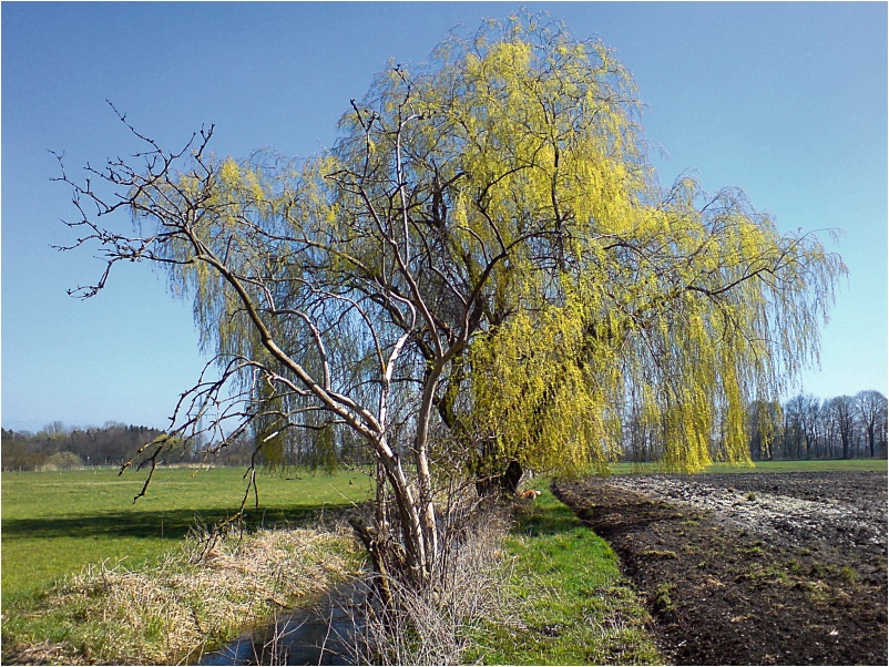 Zwischen Leben und Tod