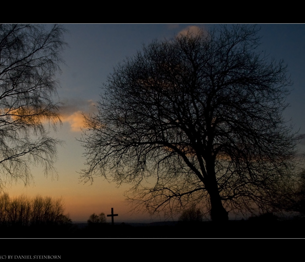 Zwischen Leben und Tod