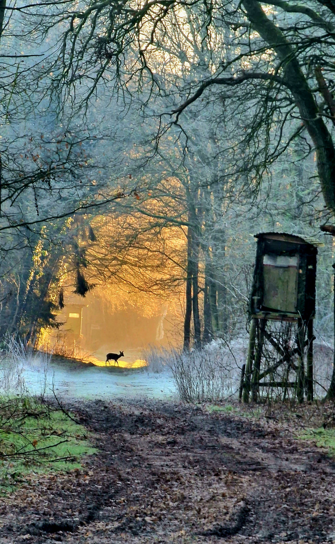 Zwischen Licht und Schatten