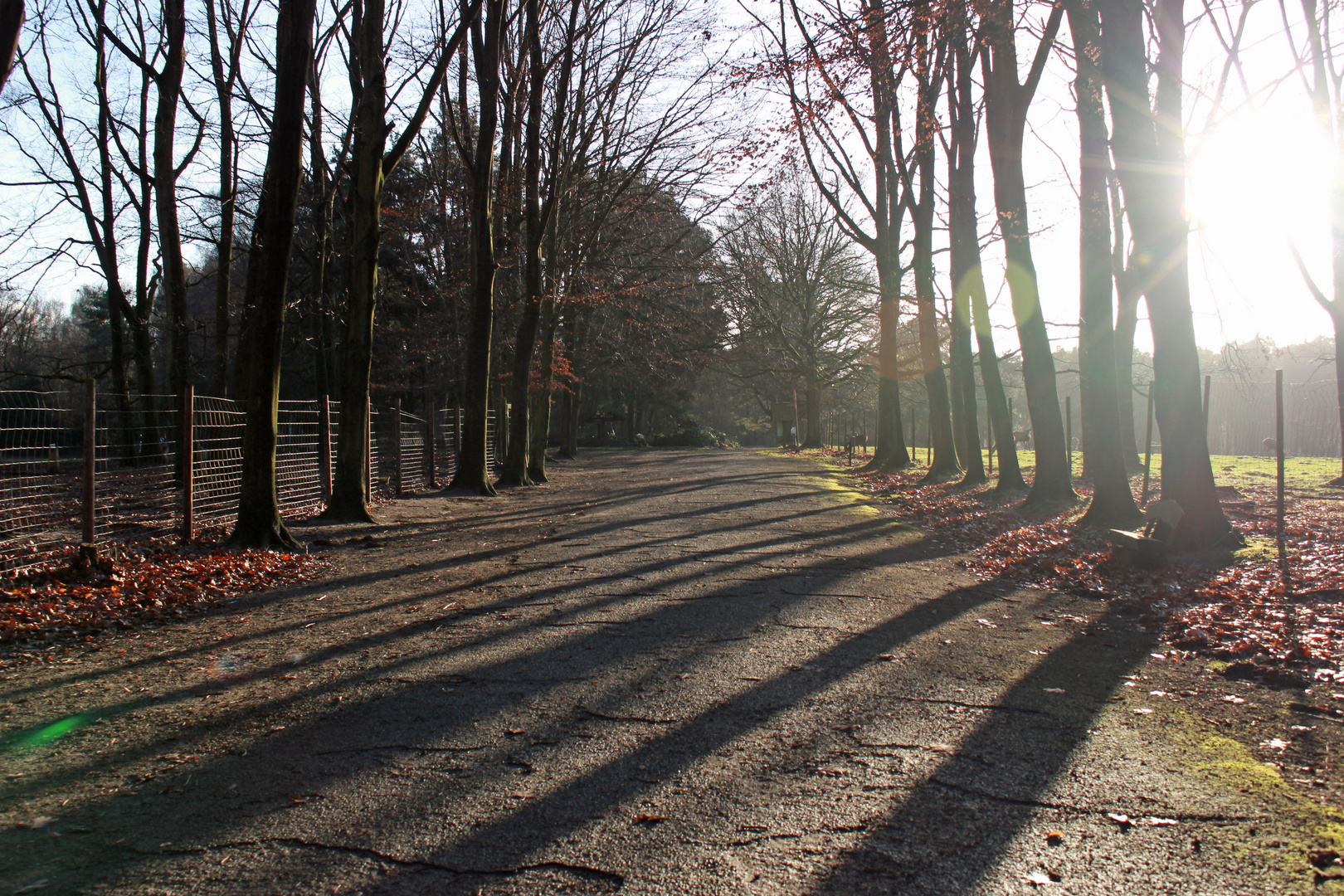 Zwischen Licht und Schatten