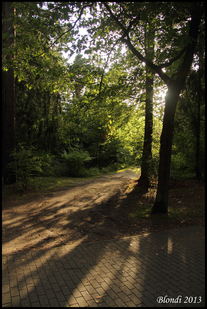 Zwischen Licht und Schatten