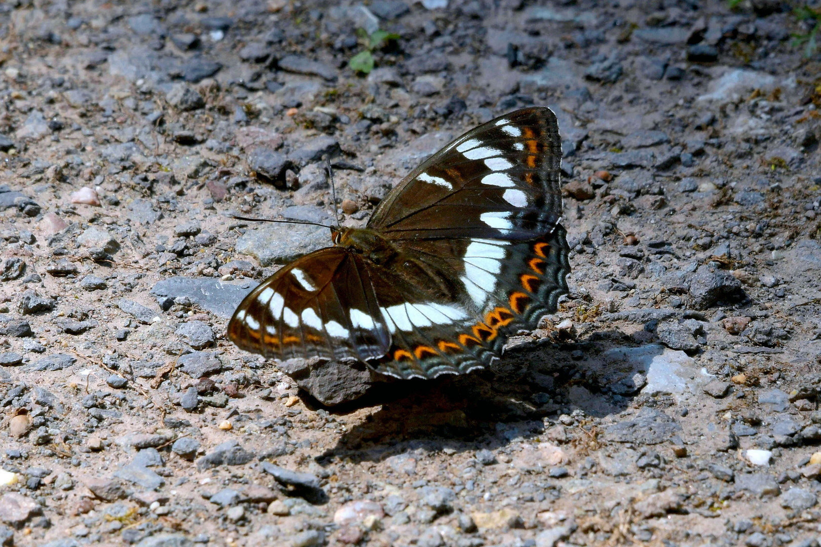 Zwischen Licht und Schatten