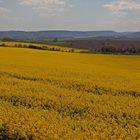 Zwischen Lilienstein und Hohem Schneeberg Farbe zeigen...