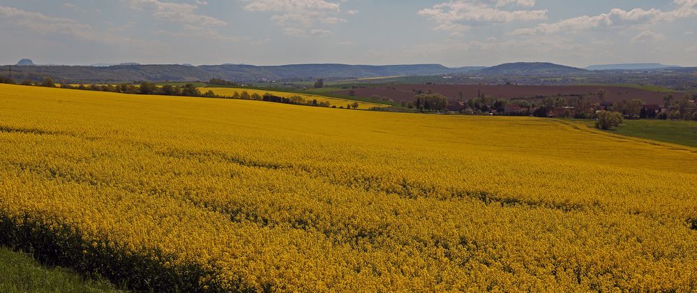 Zwischen Lilienstein und Hohem Schneeberg Farbe zeigen...