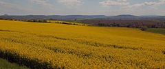 Zwischen Lilienstein und Hohem Schneeberg Farbe zeigen...