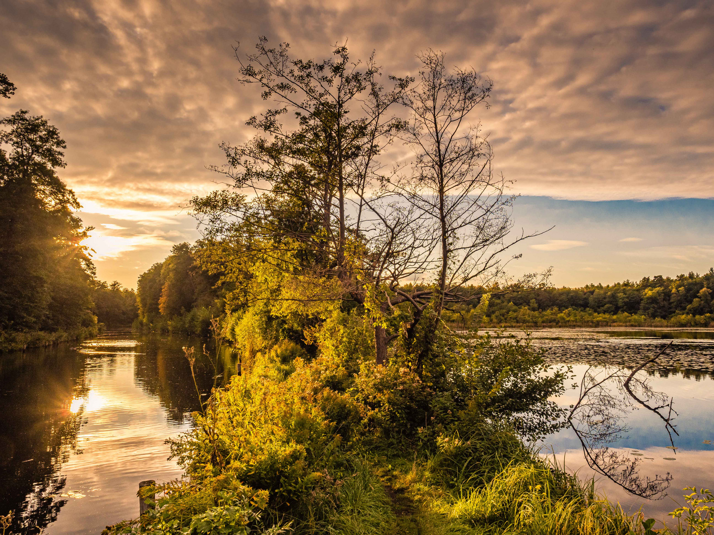 Zwischen Löcknitz (li) und Wupatzsee (re)