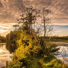 Zwischen Löcknitz (li) und Wupatzsee (re)