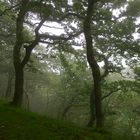 Zwischen Lynmouth und Countisbury, Devon